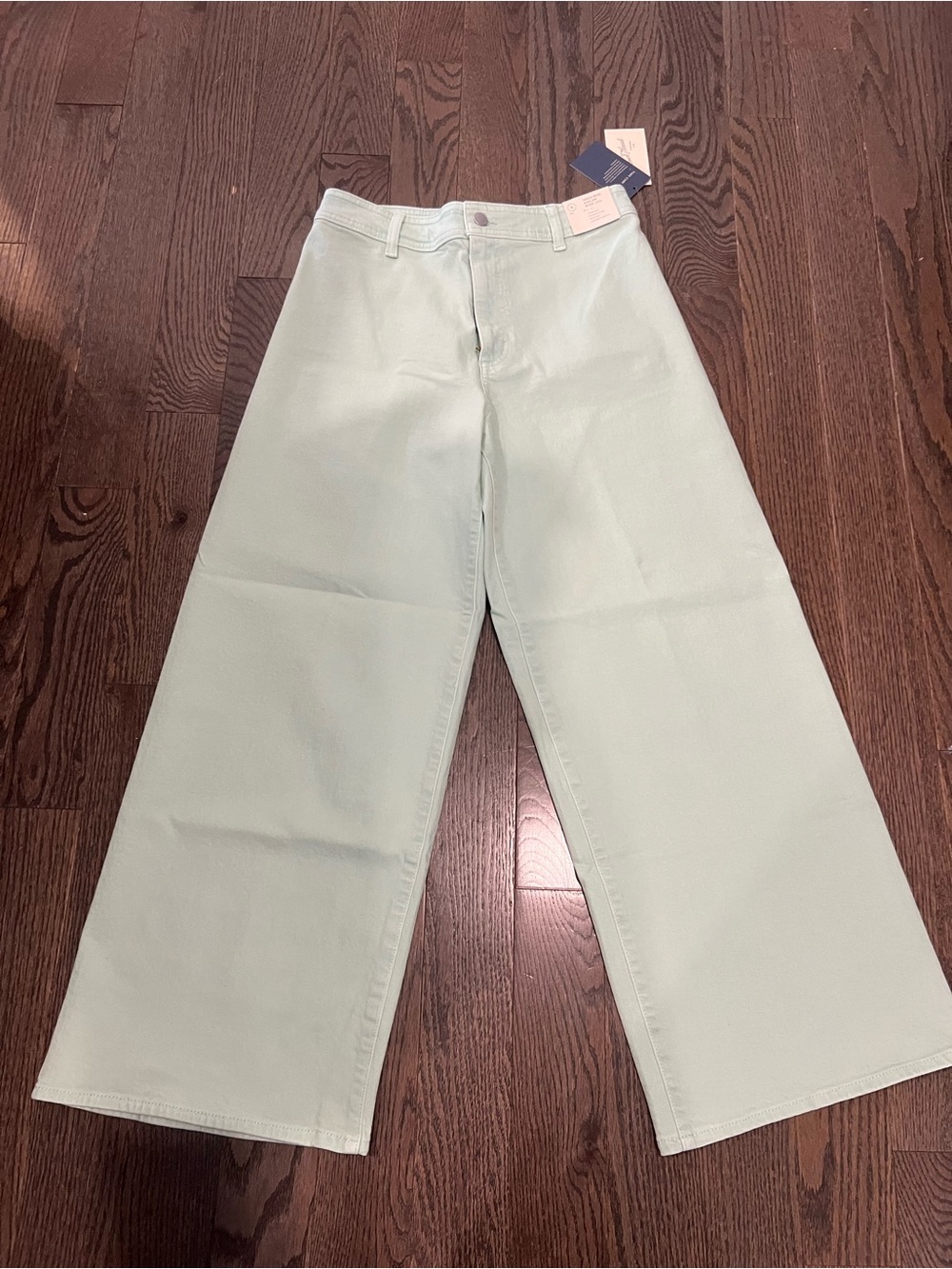 Universal Thread Wide Leg Pants in Light Mint Green